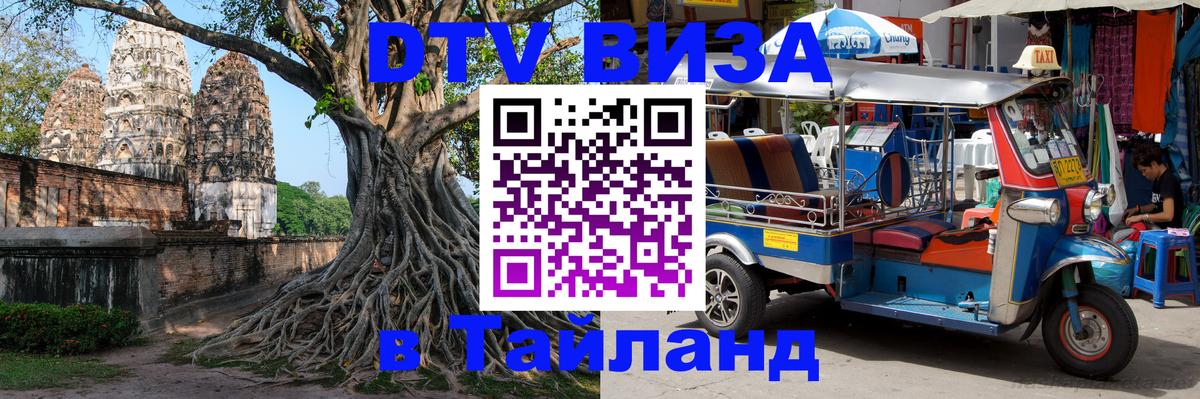 Сколько стоит DTV виза — актуальные цены, оформление даже без документов - Нижний Новгород 